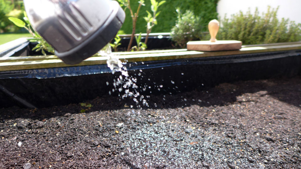 Garten – Küchenkräuter pflanzen leicht gemacht – DIY-Projekt