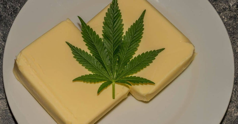 Cannabis Butter herstellen Cannabutter selber machen (Rezepte) Irierebel Der Löwe unter