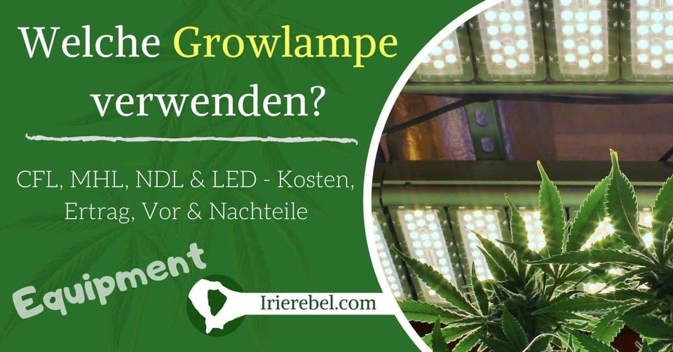Cannabis Anleitungen Grow Guides & Hanf Informationen Irierebel