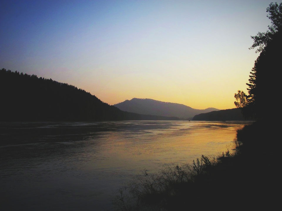 russie bigousteppes republique altai montagne foret