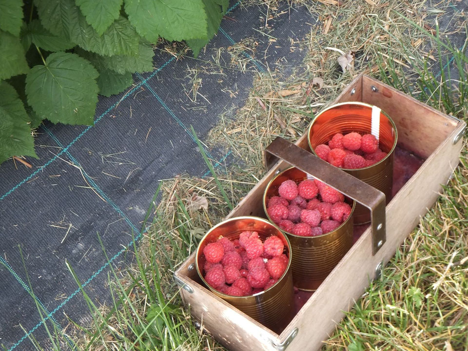 La Ferme La Framboiseraie de Ballaison (74)