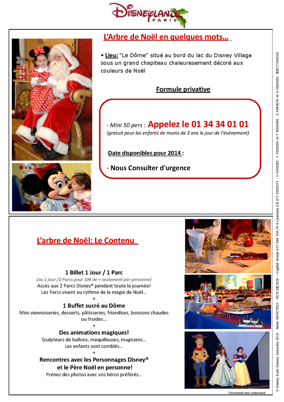Oui Oui A Vos Souhaits Mr Jumbo PARC DISNEYLAND PARIS 2014 - Spectacles Arbre de NOEL Groupe