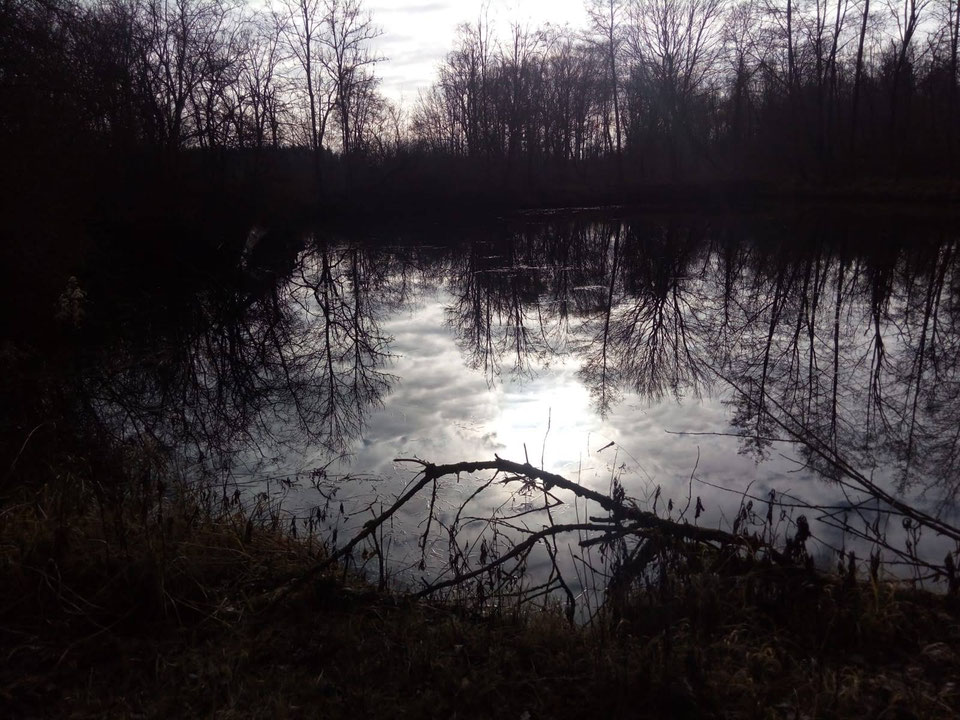 Lindensee Ansicht