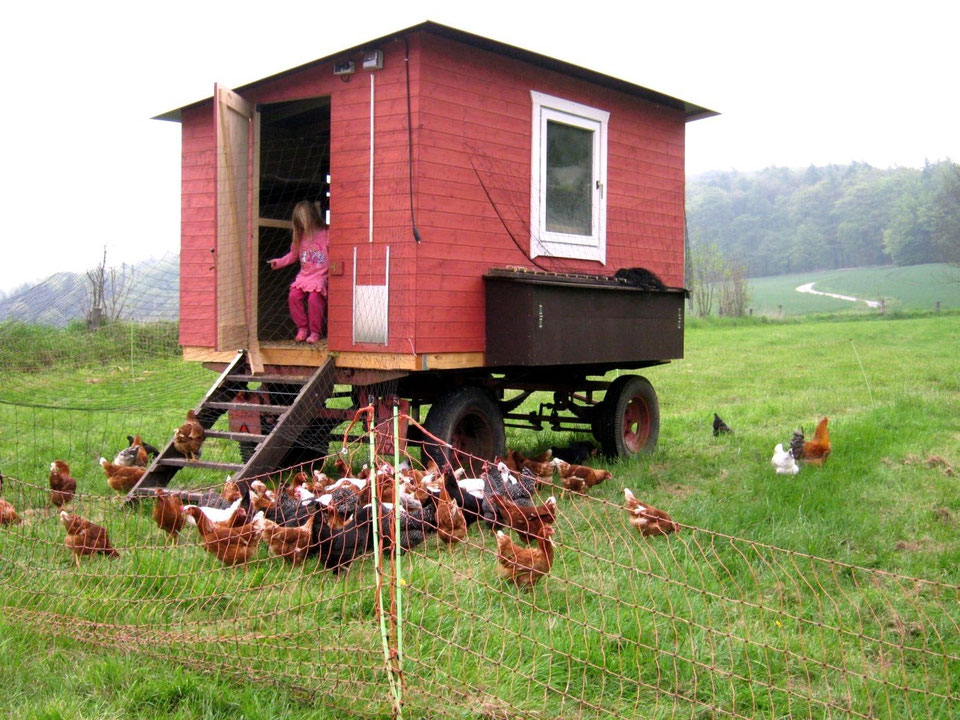 Mobile Hühnerhäuser - Holzhaus - Roew