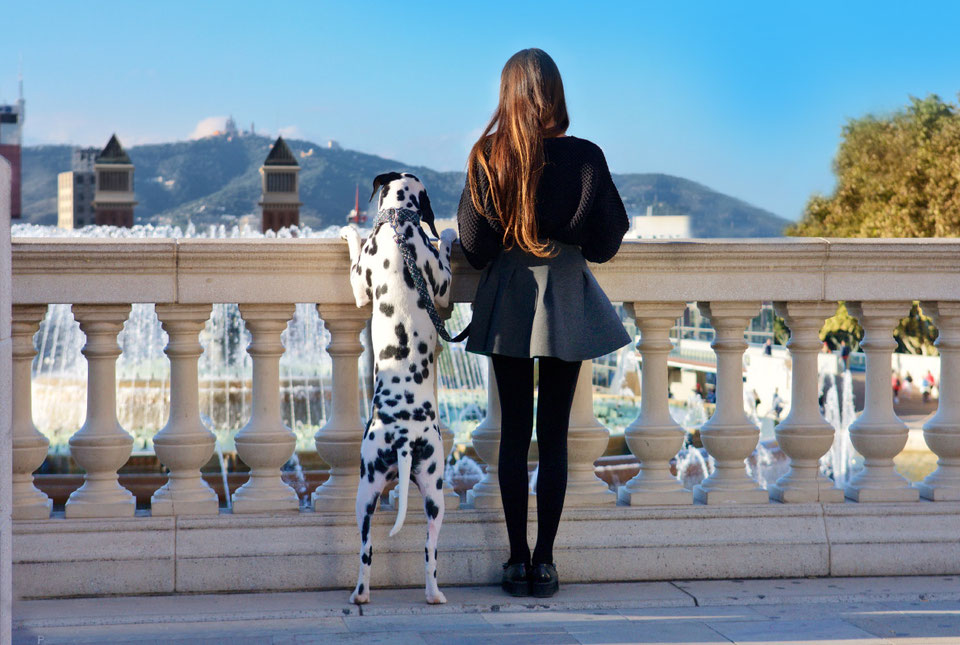 Best Dog Friendly destinations in Europe Europe's Best Destinations