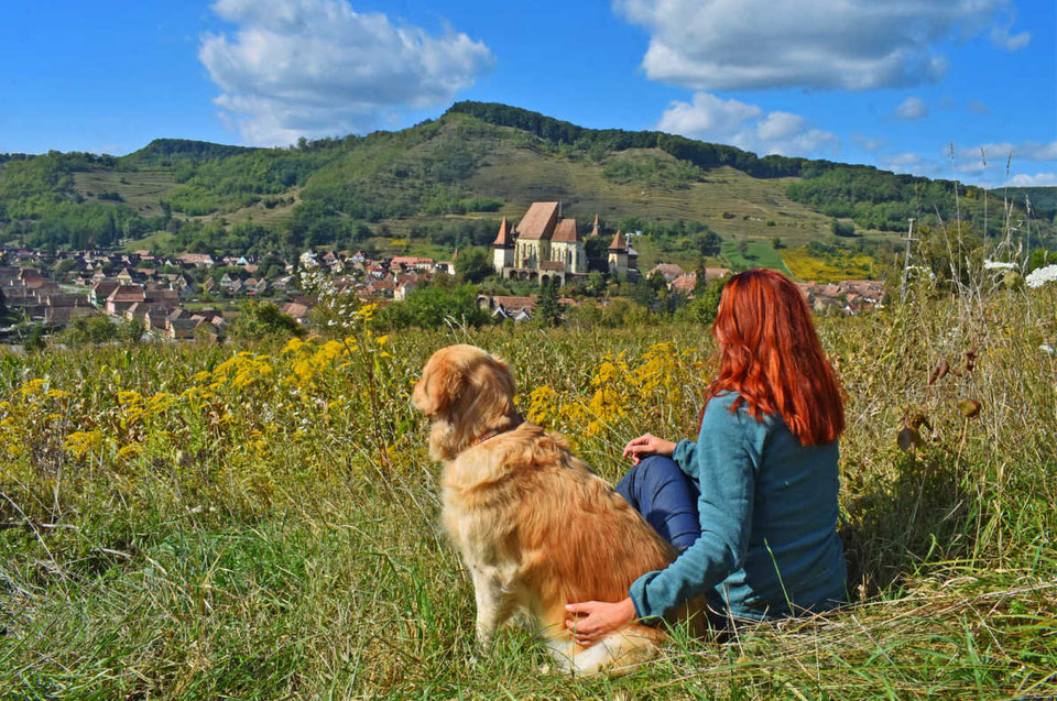 Best Dog Friendly destinations in Europe Europe's Best Destinations