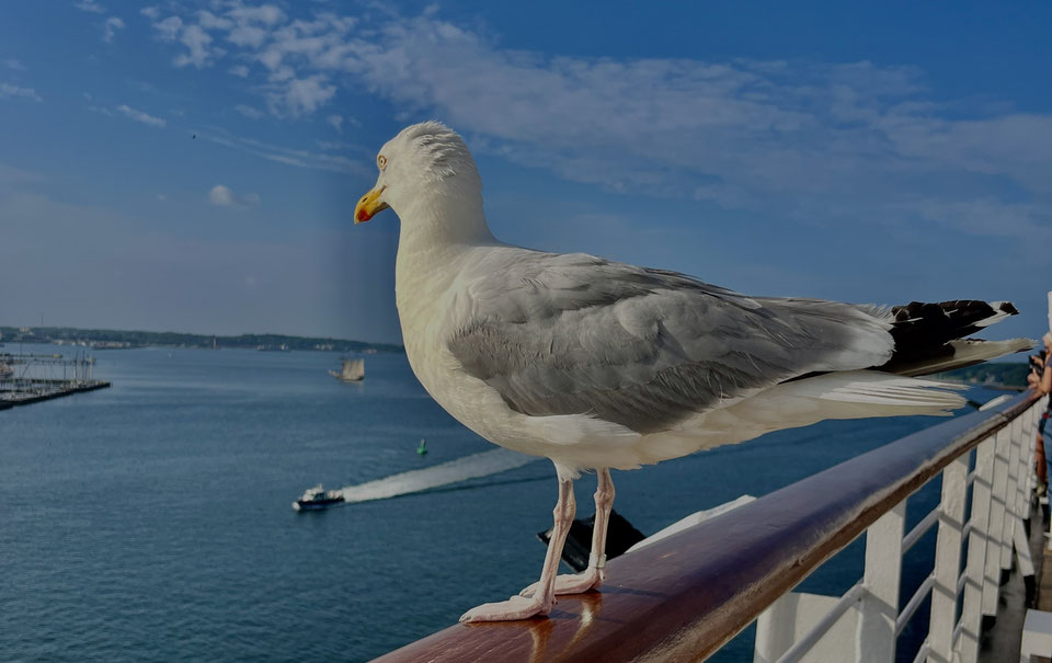 VASCO DA GAMA Auslaufen aus Kiel