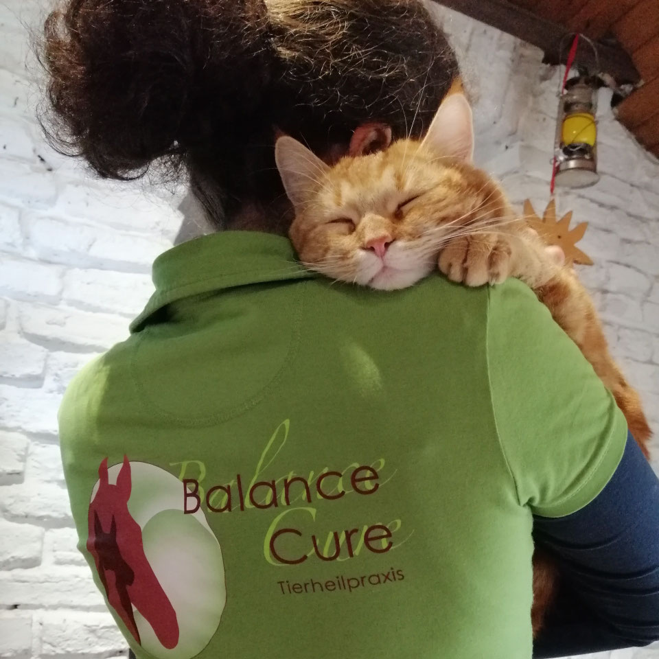 Entspanntes Tier – Balance Cure Tierheilpraxis