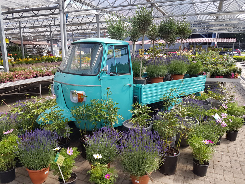 Willkommen bei Fleur Garten Fleur Garten