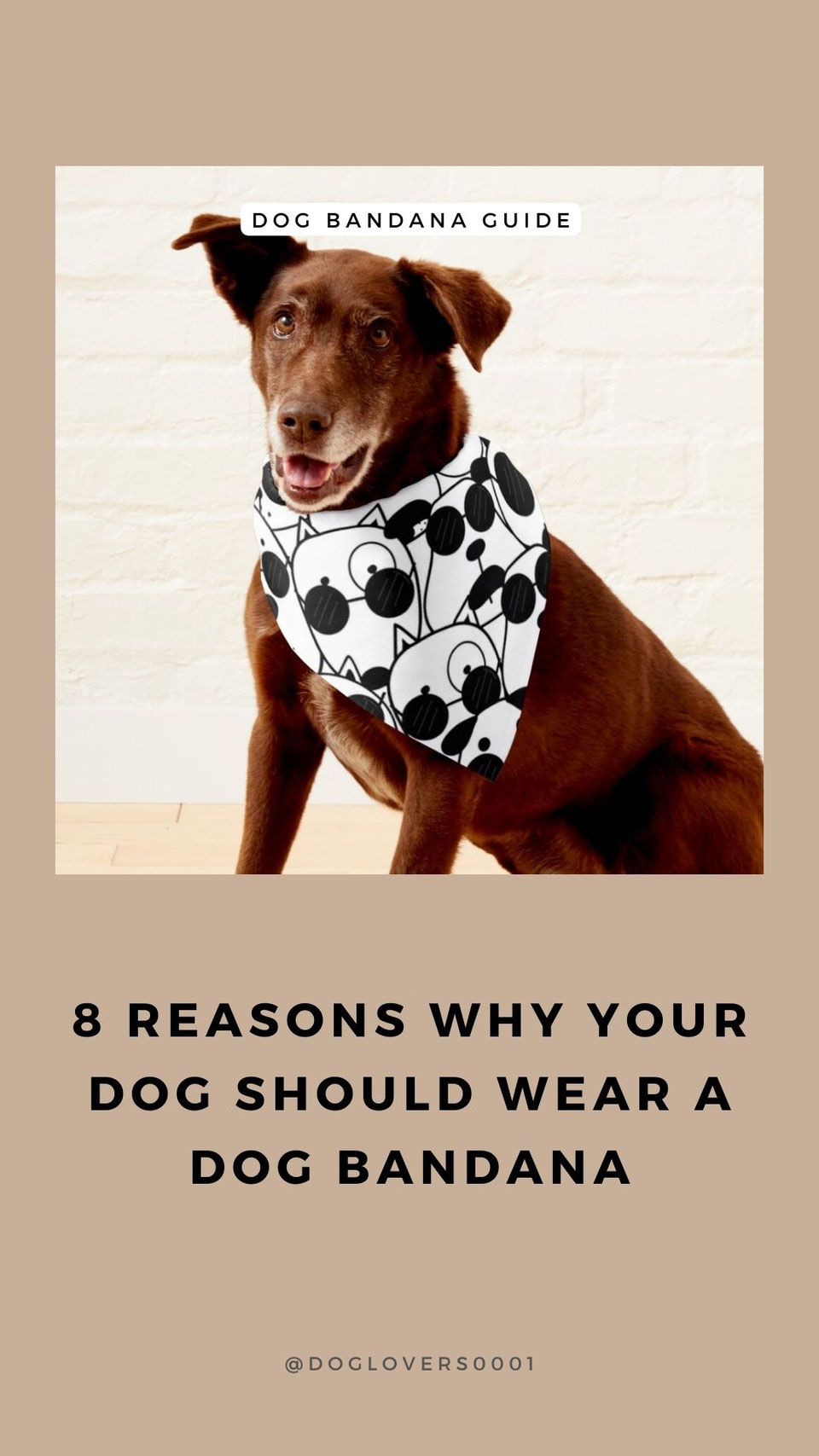 Are Bandanas Good for Dogs 8 Reasons Why Your Dog Should Wear a