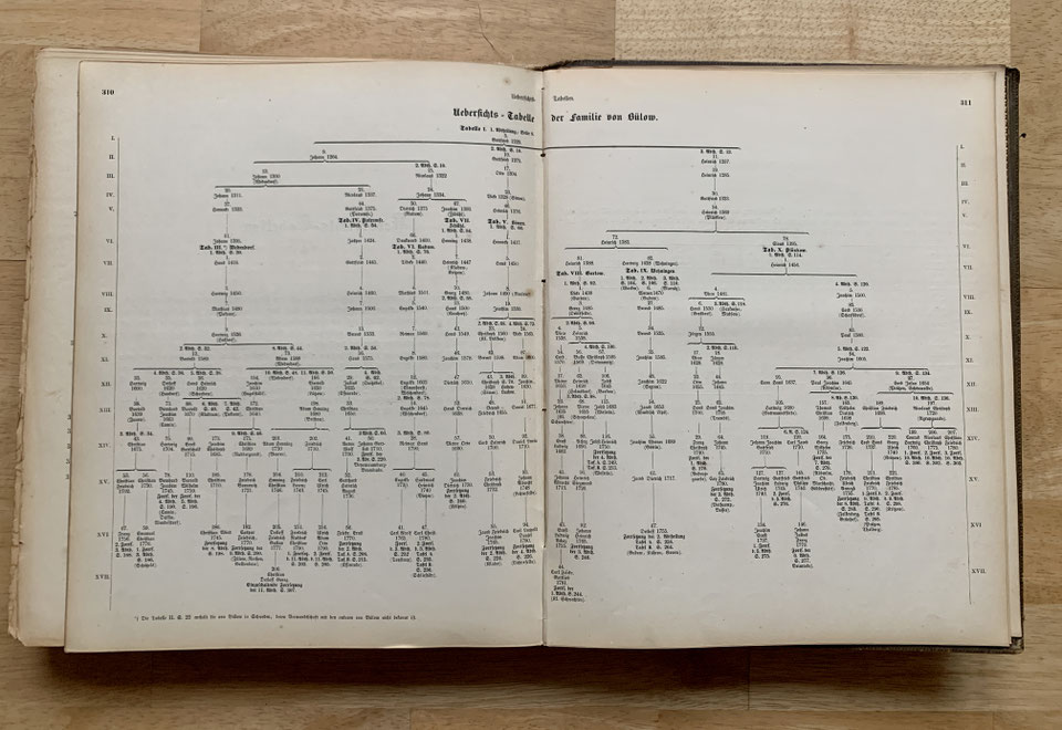 Wappen der von Bülow juergenvonbuelows Webseite!