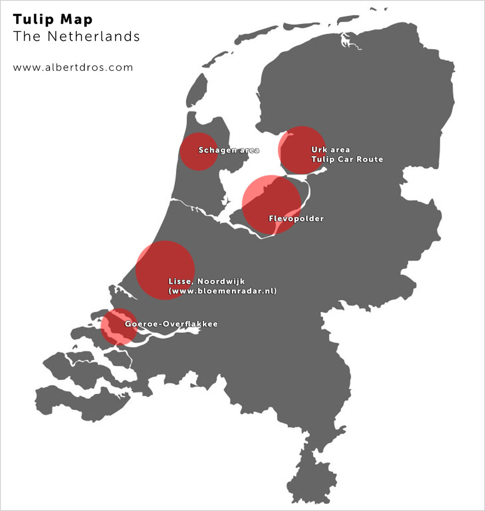 Où trouver les champs de tulipes - Route des Tulipes Où trouver les champs de tulipes - Route des Tulipes