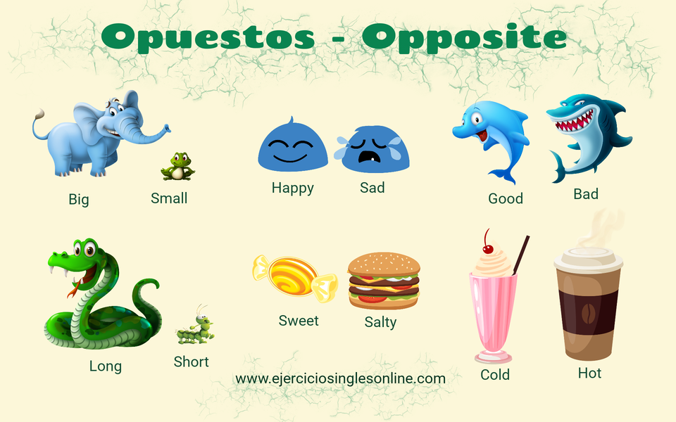 Opuestos en inglés Ejercicios inglés online