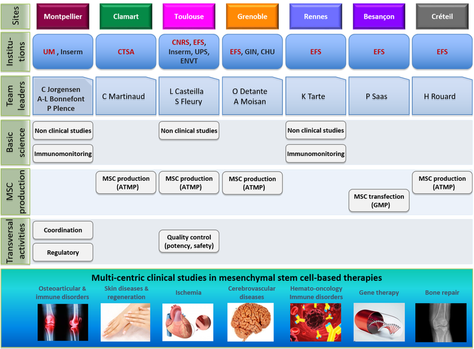 plateformes ECELLFRANCE de recherche thérapies cellulaires