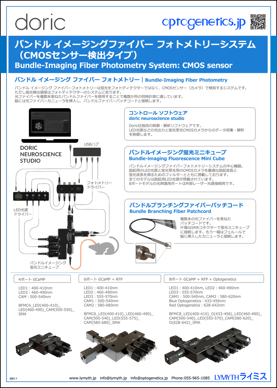 8ポート バンドル イメージング ファイバーフォトメトリー｜3か所以上計測 等吸収点＋GCaMP + RFP - 405nm/465 nm/560nm + Blue/Red 光刺激（レーザー光源）