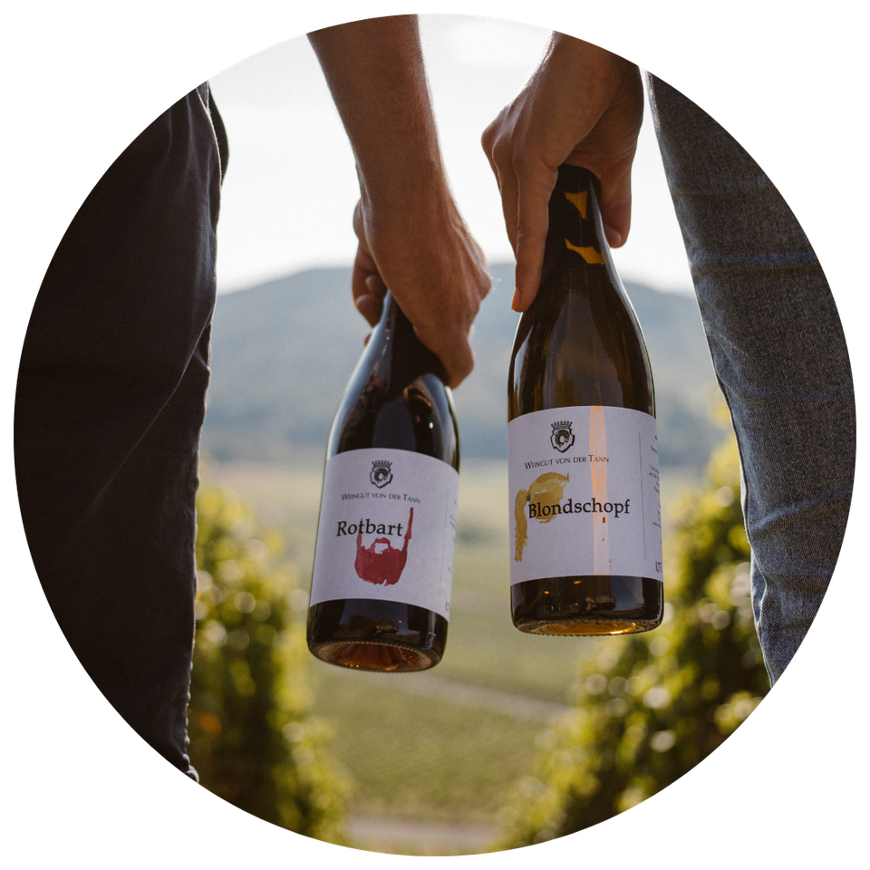 Das Weingut In Iphofen Weingut Von Der Tann das-weingut-in-iphofen-weingut-von-der-tann
