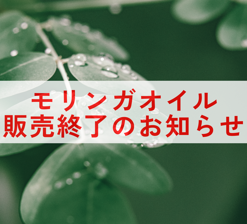 モリンガオイル