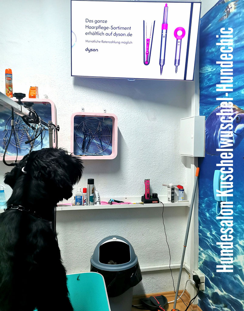 Der Hundesalon Hundeparadies hundesalon kuschelwuschelhundechics