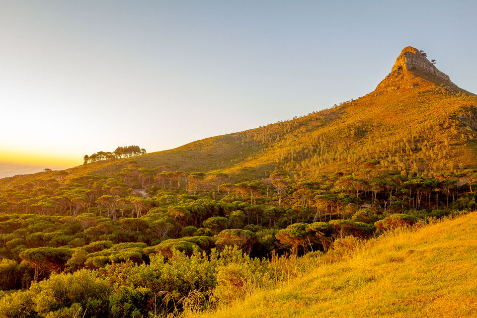 Sunset at Lion's Head, Capetown