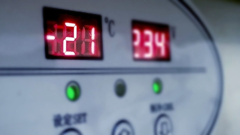 How to make Ice Cream Rolls Ice Cream Rolls