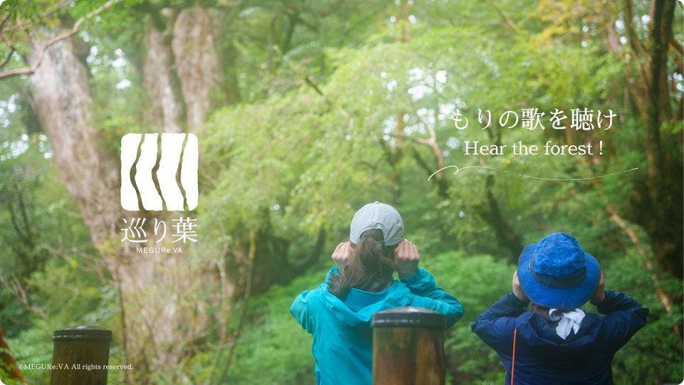 初めての屋久島をおすすめのガイドと深く歩く縄文杉トレッキング-屋久島ガイド巡り葉