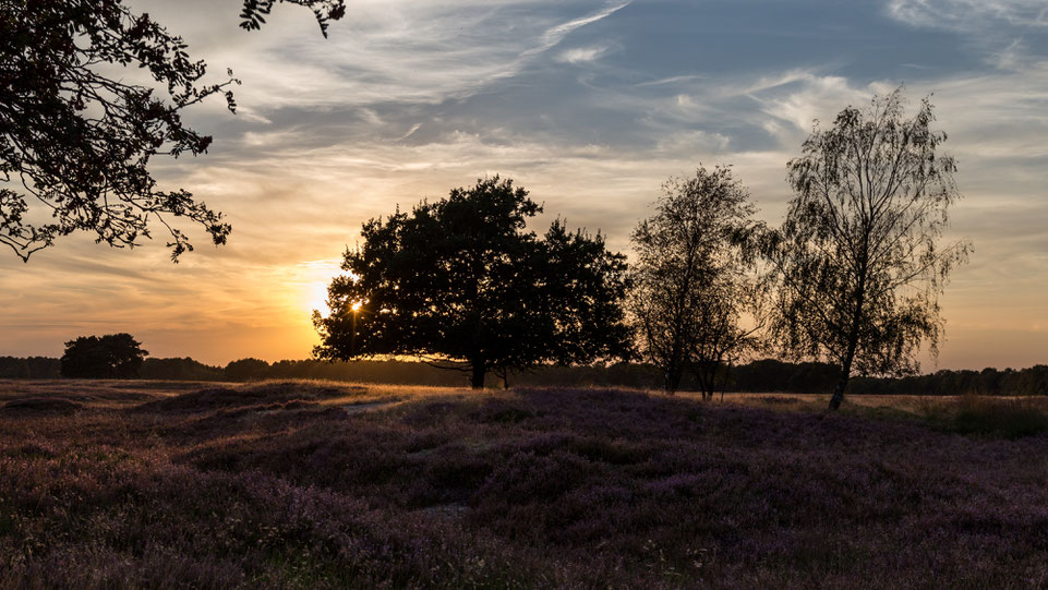 Sunset at Pietzmoor