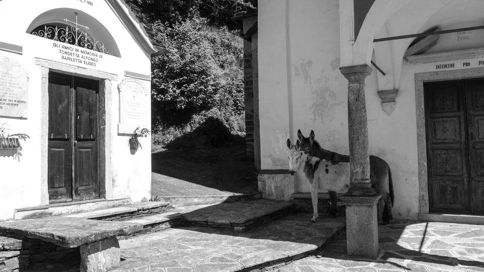 Chiesa di Tappia mit seinen Bewohnern