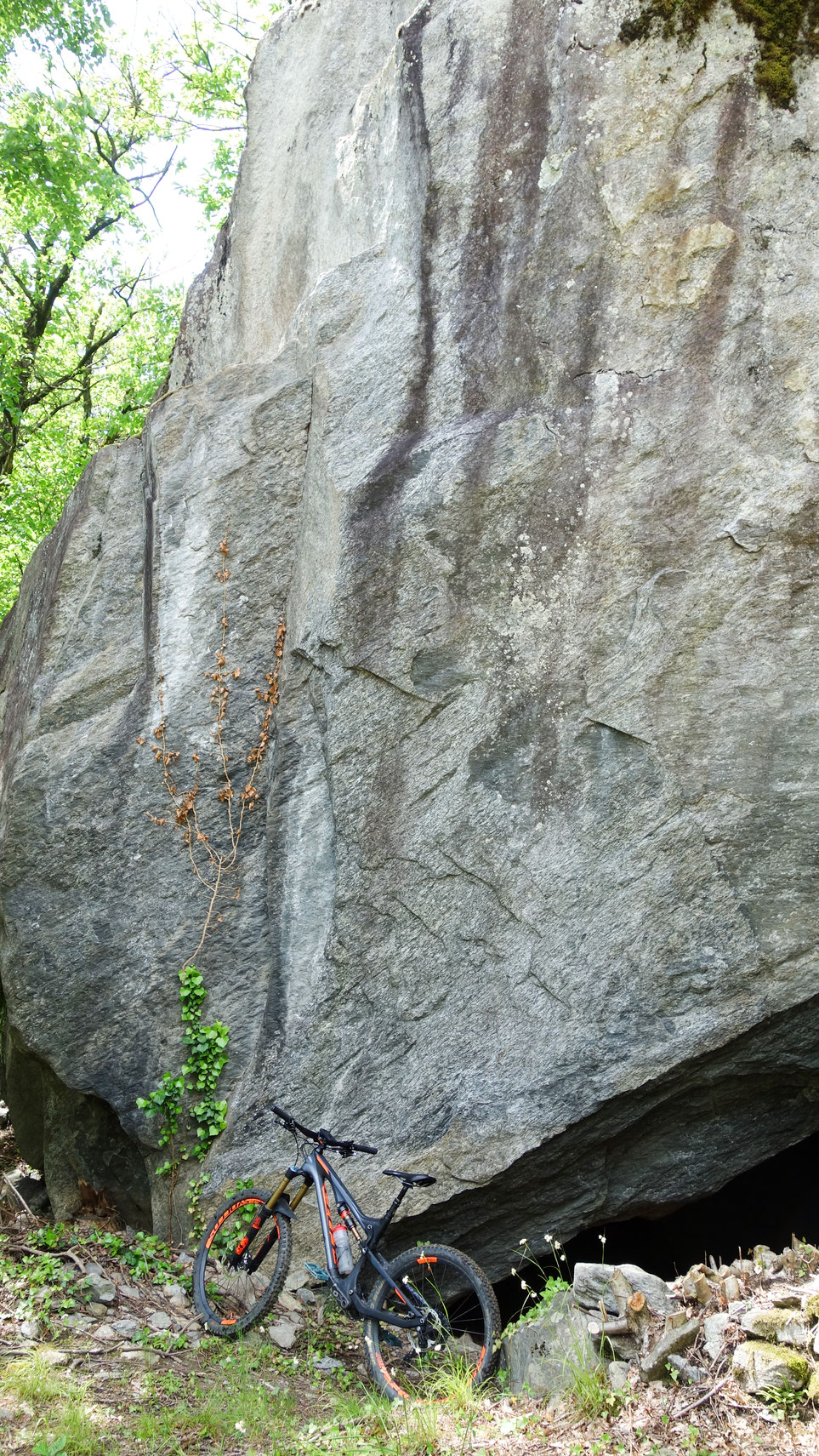 Boulder & Bike // Auf dem Weg nach dem 1. Anstieg, bevor man über einen flotten Singletrail zur Tosa runterbraust