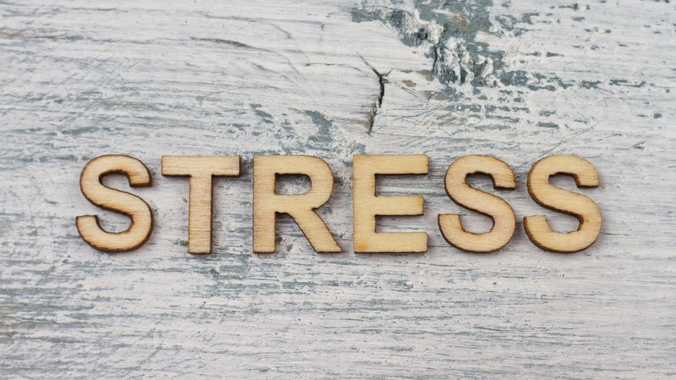 Mit Achtsamkeit, Gewaltfreier Kommunikation und Selbstreflexion dem Stress die Rote Karte zeigen