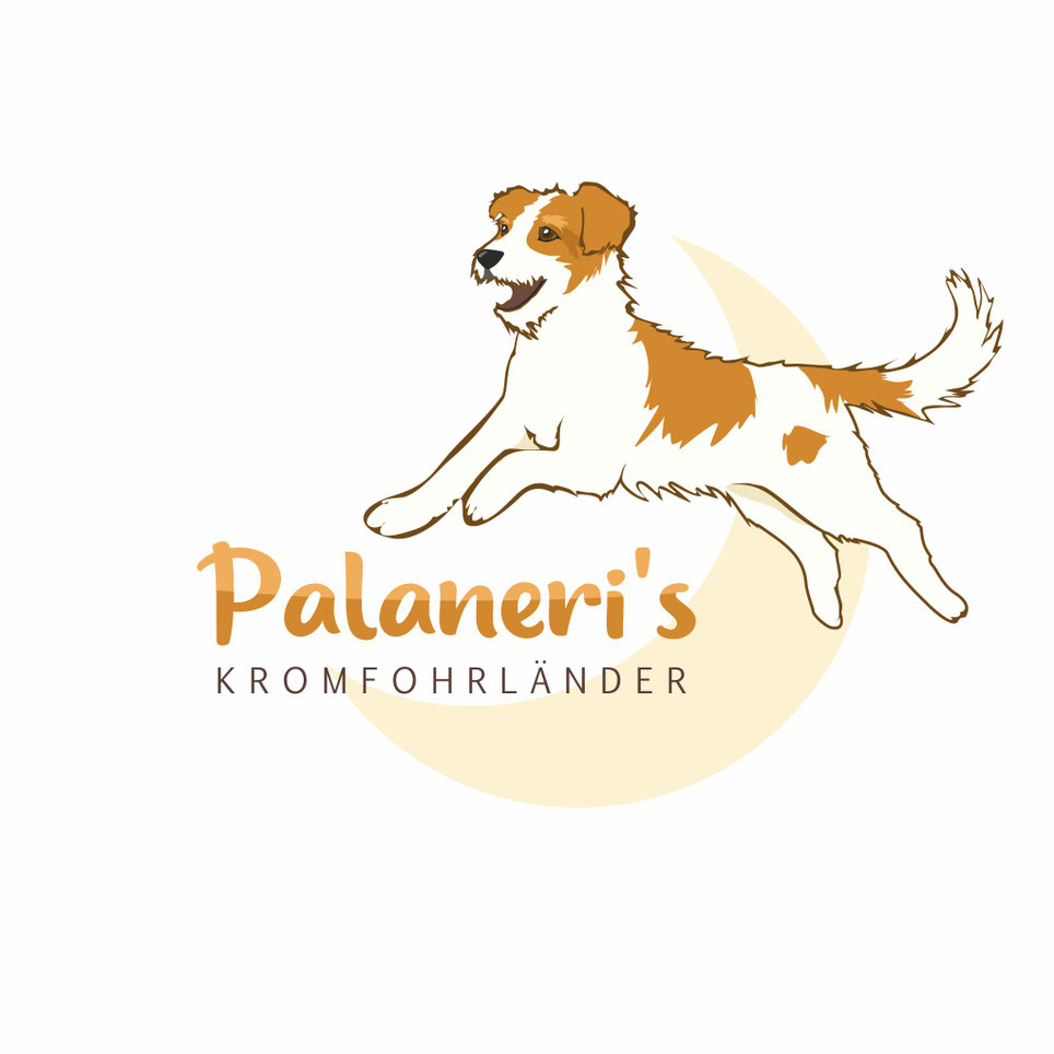 Logo von Palaneri's Kromfohrländer