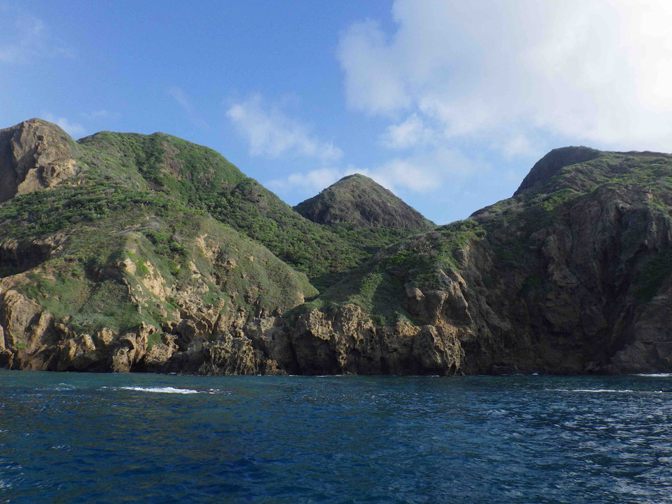 オガヒワが暮らす妹島の乾性低木林 ワークショップ