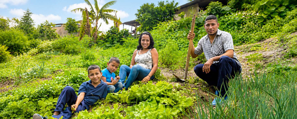 Volunteers Brasilien – Landwirtschaftlicher Familienbetrieb im Nordosten Brasilien