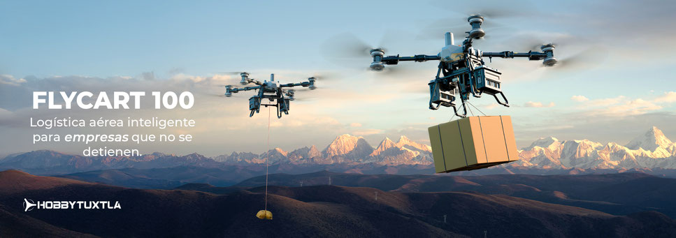 DJI FlyCart 100