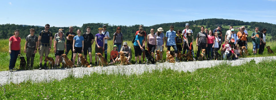 pinschertreffen-hunderasse-rassehund-wachhund-familienhund-hofhund-austria-oesterreich-steiermark-eggersdorf