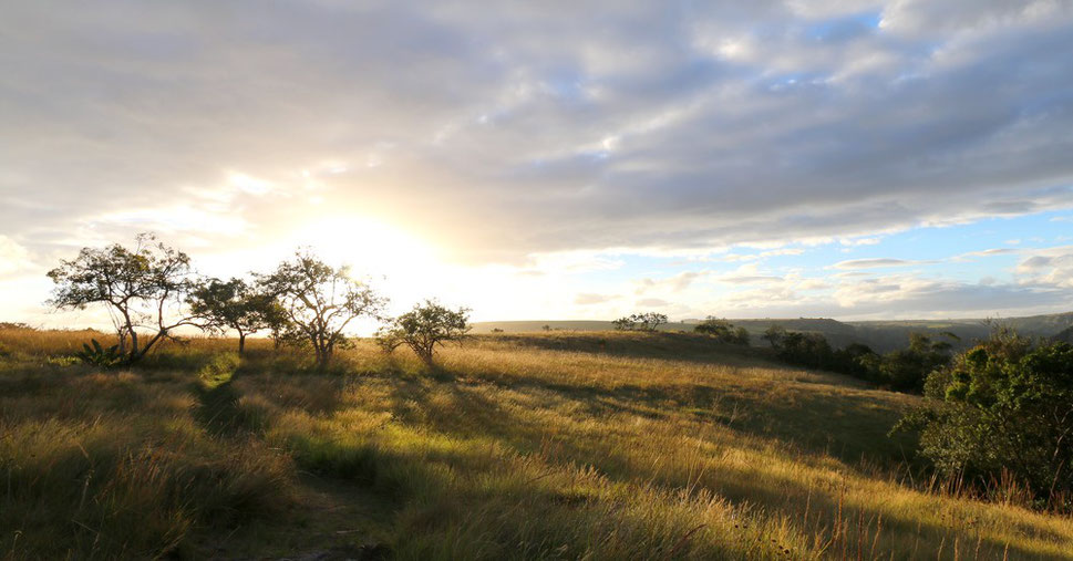 Les Gorges d' Oribi (Baboon View)