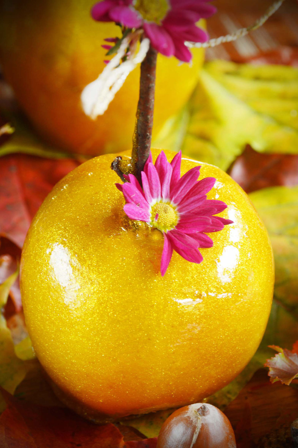 Apfel, Äpfel, golden, goldene, Idun, Iduna, Göttin, nordische, Mythologie, Loki, Ragnarök, Apfelland, Unsterblichkeit, unsterblich, Jugend, gold, glitzernd, essbarer Glitzer, kandierte Äpfel, kandieren, 