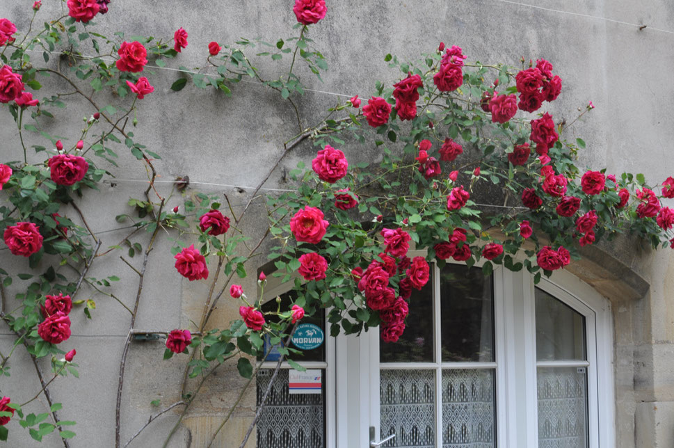 Chambre d'hôtes des Hauts-Quartiers à Autun - l'entrée de la chambre