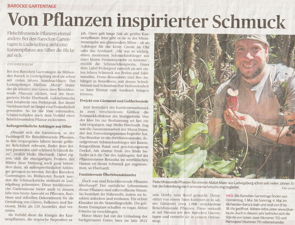 Zeitungsartikel Ludwigsburger Kreiszeitung Fleischfressende Pflanzen als Schmuck in Stuttgart gefertigt