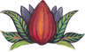 cacao mama cacao pod drawing orange