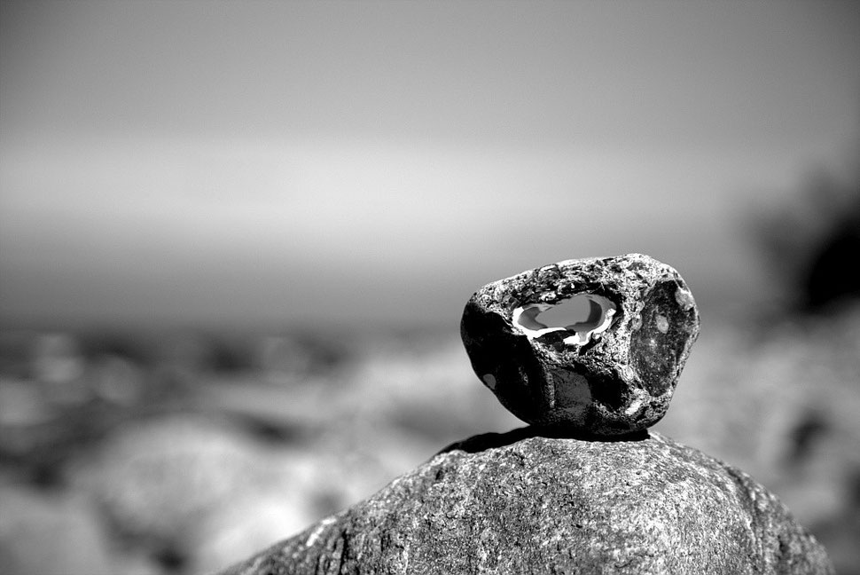 stone - hiddensee 2014