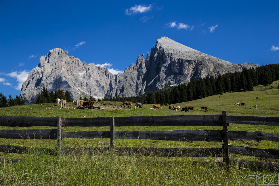 seiser alm, plattkofel, dolomiten