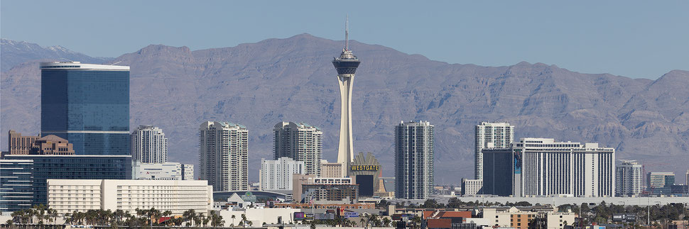 Viva Las Vegas
