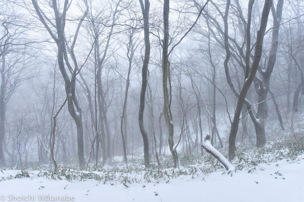 Nikon D810 × 14-24mm F2.8G