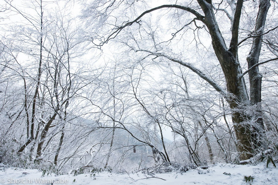 Nikon D810 × 14-24mm F2.8G