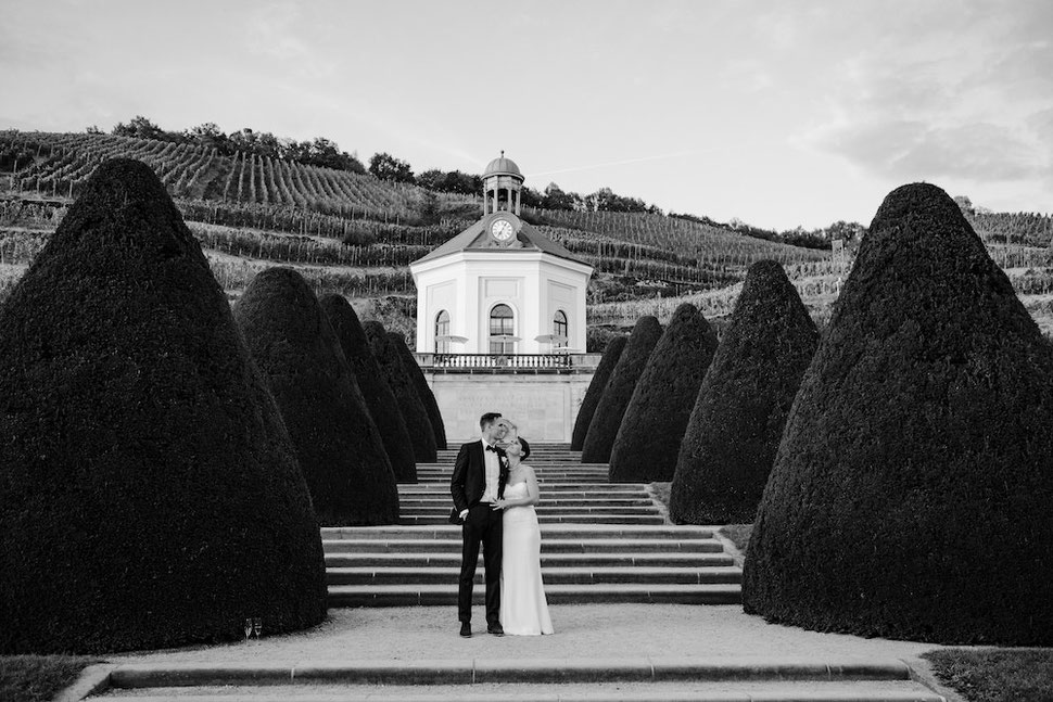 Hochzeit, Magdeburg, Thomas, Sasse, Hochzeitsfotograf, Trauung, Standesamt, Reportage, Schloss Wackerbarth