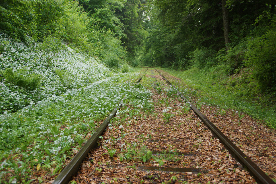 Schipkapass