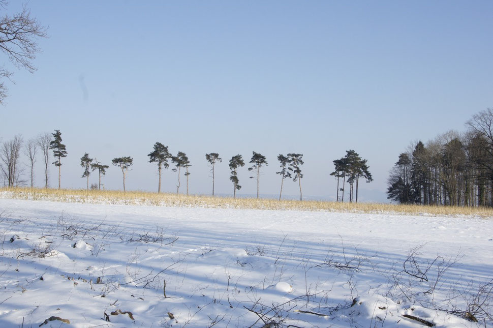 Bözberg im Winter