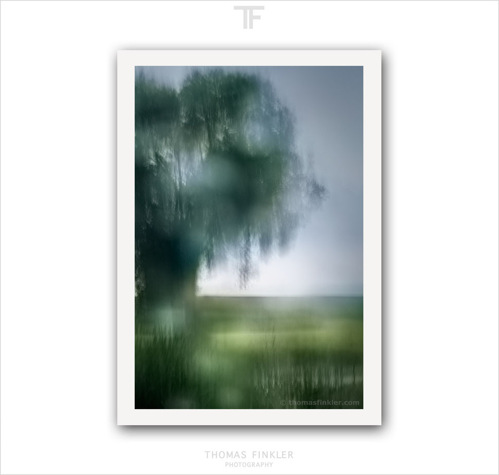 Art, fine art, photography, print, abstract, nature, atmospheric, impressionist, blurry, poetic, tree, prints for sale, buy prints, online