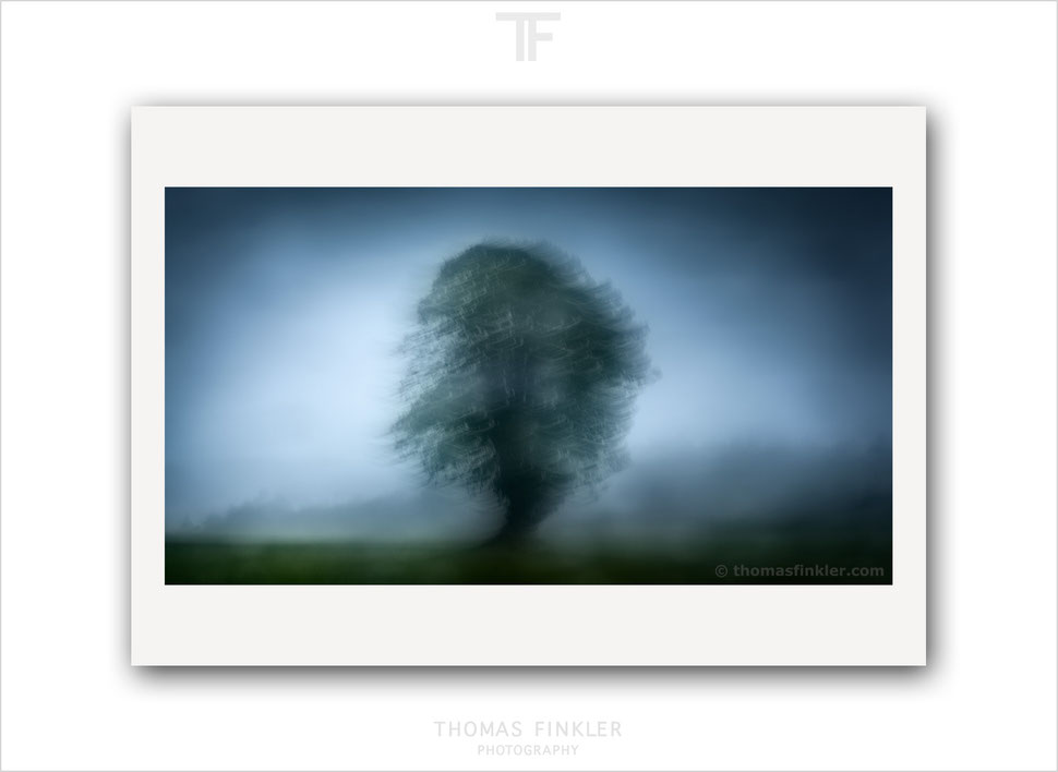  Fine art photography, print, abstract, nature, landscape, solitary tree, intentional camera movement, art, prints for sale, buy prints
