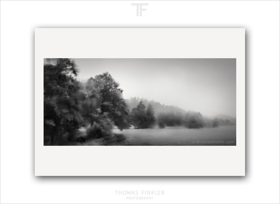tree, photography, print, fine art, black and white, monochrome, amazing, stunning, storm, stormy, weather, rain, rainy, blurry